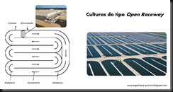 Sobre a cultura de microalgas em fotobioreatores - Blogue Engenharia ...
